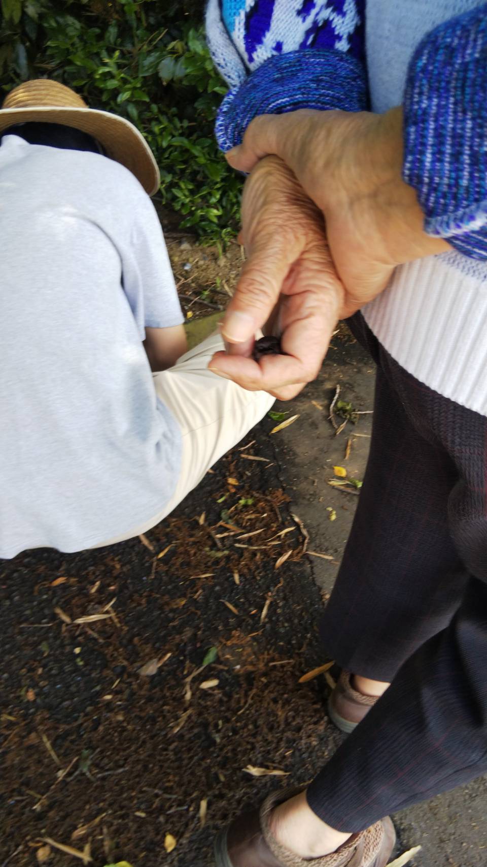 会社で頑張ることは日本のためにはならない